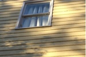 Siding Replacement & Paint 1