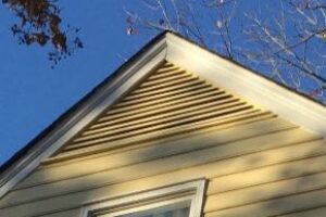 Siding Replacement & Paint 2