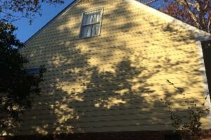 Siding Replacement & Paint 3
