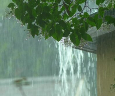 summer-storm-home-protection-nc