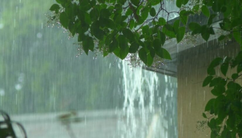 summer-storm-home-protection-nc